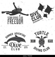 Dolphin divers club