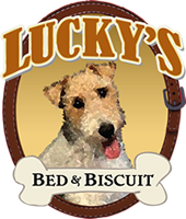 Luckys Bed and Biscuit