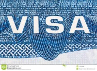 American Visa Service