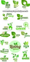 Eco green crafts