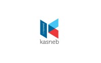 Kenya accountants and secretarial examination board(KASNEB)