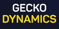 Gecko dynamics