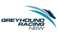 Greyhound racing nsw