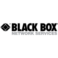Black Box Network Services - Orlando Voice
