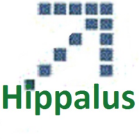 Hippalus technologies