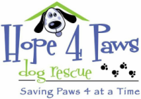 Hope 4 paws