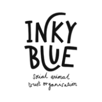 Inky blue sea companion animal rescue