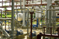 Ghana Oil Palm Development Company (GOPDC Ltd)