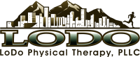 Lodo physical therapy, pllc