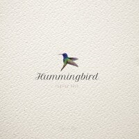 Mother hummingbird photography