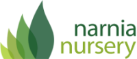 Narnia nursery