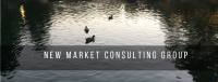 New market consulting group, llc
