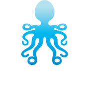 Octopus design group ltd