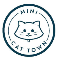 Cat Town