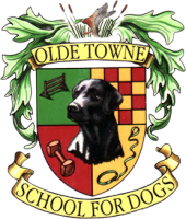 Olde towne school for dogs