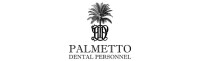 Palmetto dental