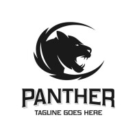 Panthers corporation, c.a.