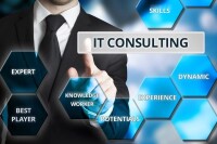 Portal consulting inc