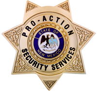 Pro action security services