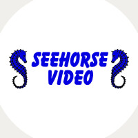 Seehorse video