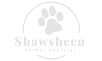 Shawsheen animal hospital