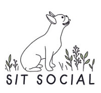 Sit social: a dog lounge