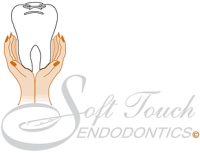 Soft touch endodontics