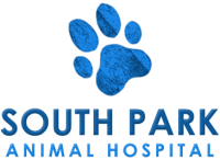 South charlotte animal hospital