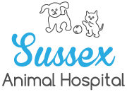 Animal clinic in sussex