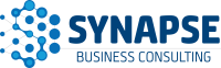 Synapse consulting group