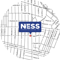 The Ness Counseling Center