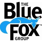 The blue fox group