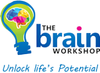 The brain workshop