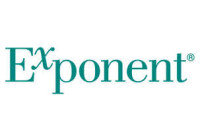 The exponent group