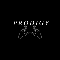 The prodigy collection llc