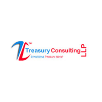 Treasury consulting llp