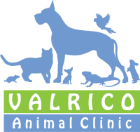Valrico animal clinic