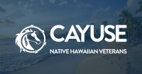 Native Hawaiian Veterans LLC