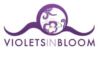 Violets in bloom florist