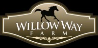 Willow way equestrian center llc