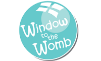 Window to the womb