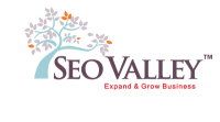 Seovalley solutions private limited