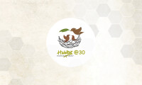 Habitat technology group - india