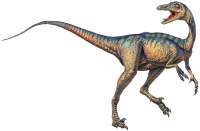 Troodon media