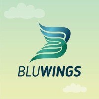 Blu wings marketing