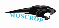 Moscrop Secondary Graduation Council