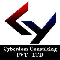Cyberdom consulting pvt ltd