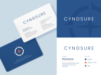 Cynosure web solutions