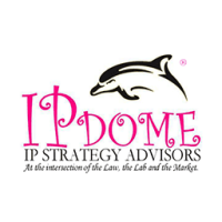 Ip dome ip strategy advisors