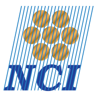 Nci india private limited